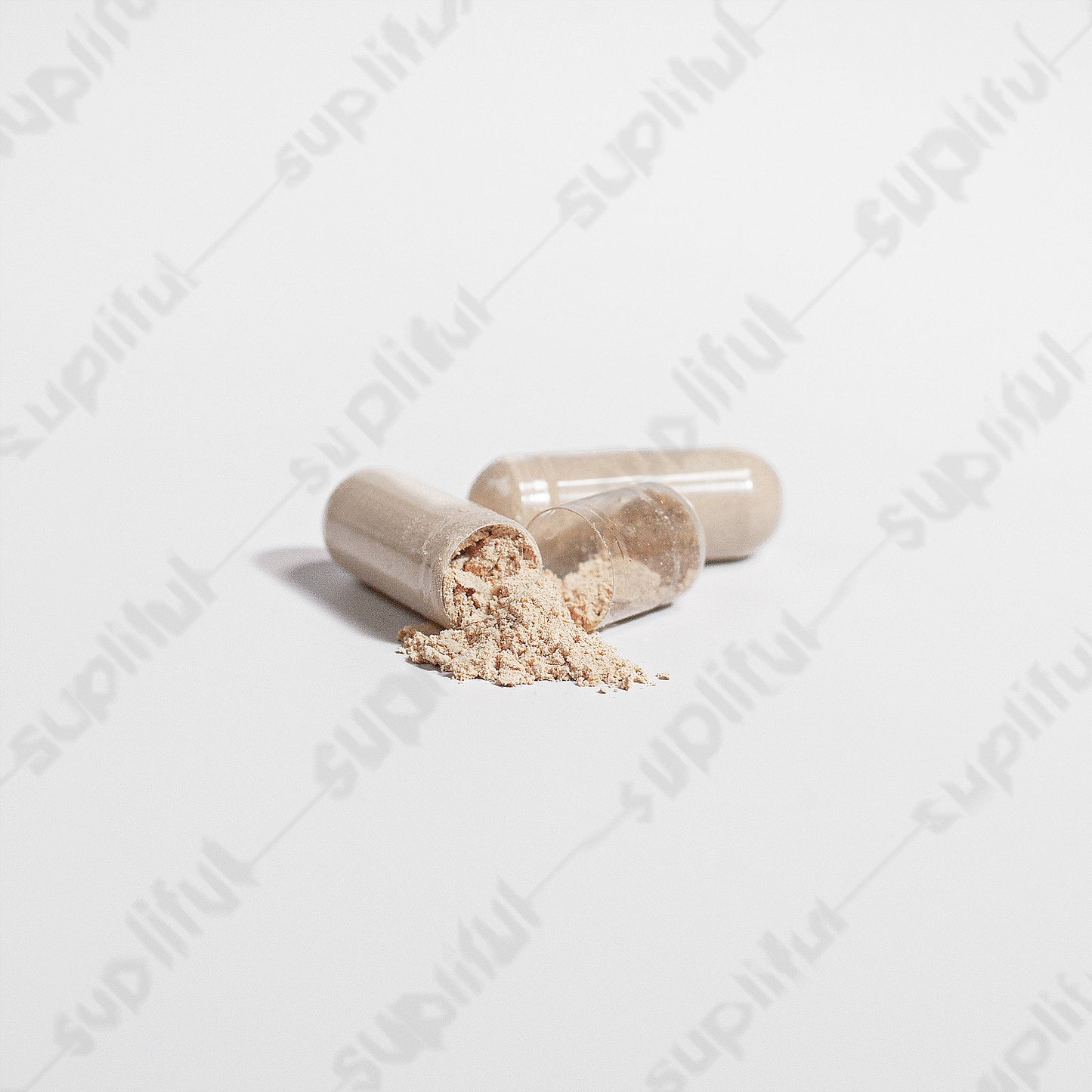 Lion's Mane Mushroom - Natural Nootropic and Memory/Focus Booster